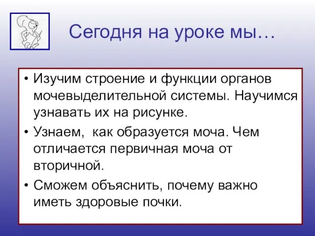 Сегодня на уроке мы… Изучим строение и функции органов мочевыделительной