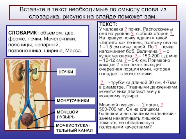 Вставьте в текст необходимые по смыслу слова из словарика, рисунок