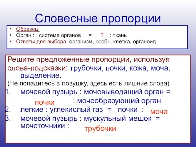 Словесные пропорции Образец: Орган : система органов = ? :