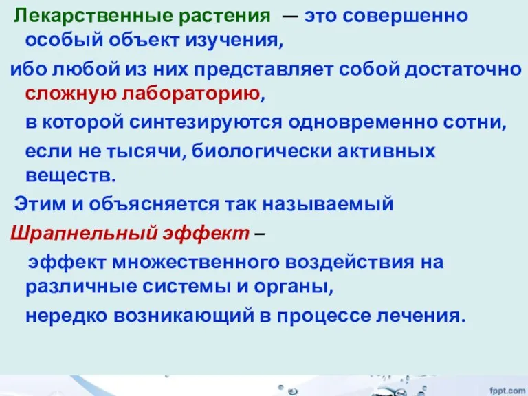 Лекарственные растения — это совершенно особый объект изучения, ибо любой