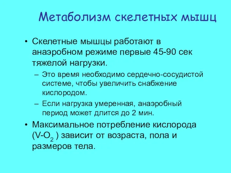 Метаболизм скелетных мышц Скелетные мышцы работают в анаэробном режиме первые