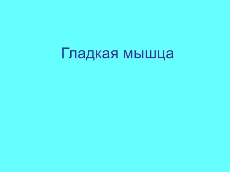 Гладкая мышца