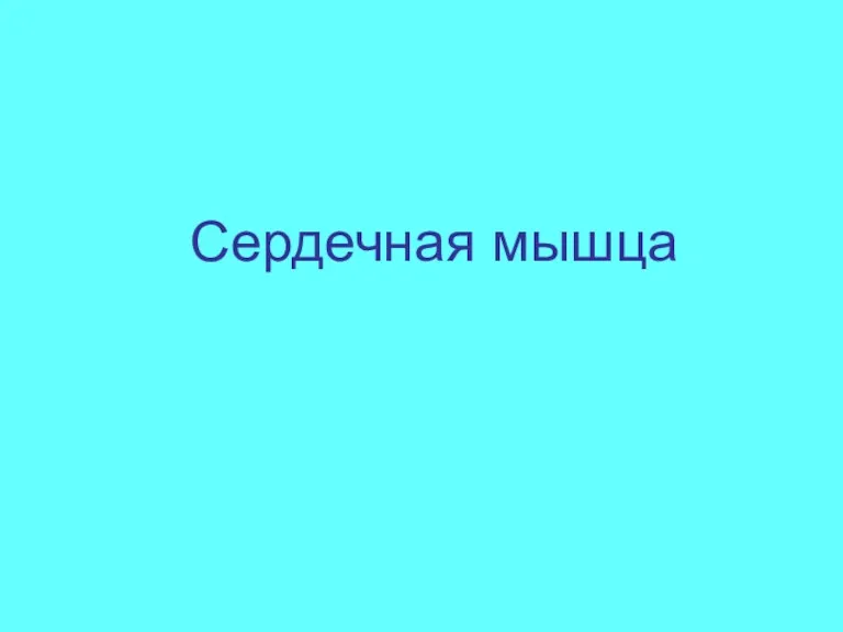 Сердечная мышца