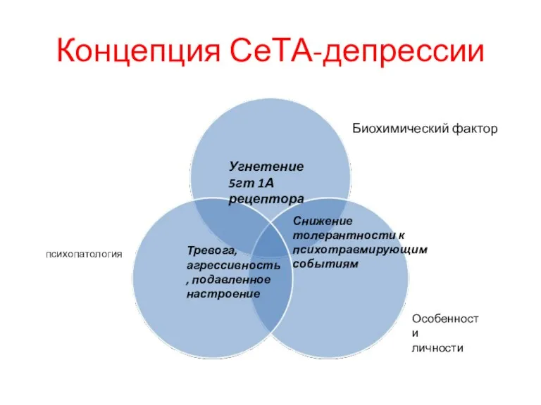 Концепция СеТА-депрессии Угнетение 5гт 1А рецептора Тревога, агрессивность, подавленное настроение