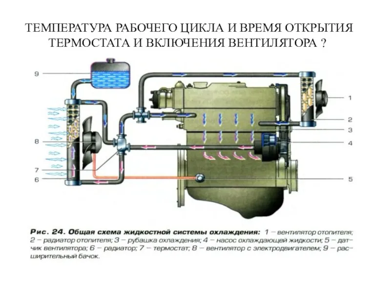 ТЕМПЕРАТУРА РАБОЧЕГО ЦИКЛА И ВРЕМЯ ОТКРЫТИЯ ТЕРМОСТАТА И ВКЛЮЧЕНИЯ ВЕНТИЛЯТОРА ?