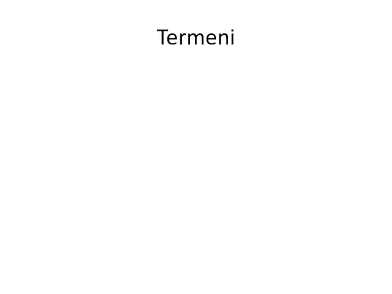 Termeni