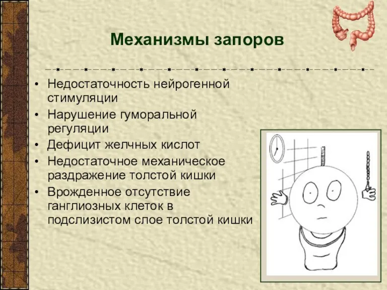 Механизмы запоров Недостаточность нейрогенной стимуляции Нарушение гуморальной регуляции Дефицит желчных