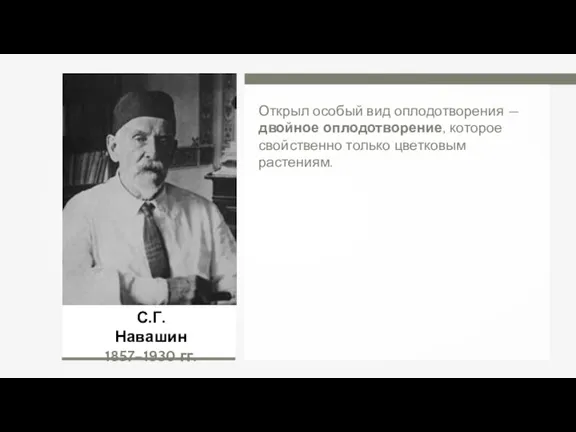 С.Г. Навашин 1857–1930 гг. Открыл особый вид оплодотворения — двойное оплодотворение, которое свойственно только цветковым растениям.