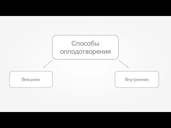 Способы оплодотворения