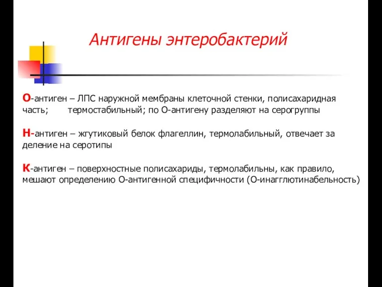 Антигены энтеробактерий О-антиген – ЛПС наружной мембраны клеточной стенки, полисахаридная