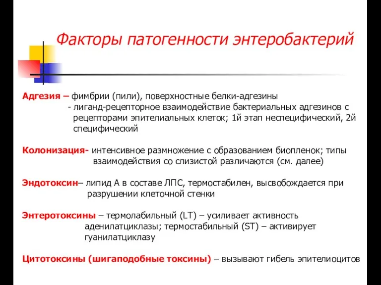 Факторы патогенности энтеробактерий Адгезия – фимбрии (пили), поверхностные белки-адгезины -