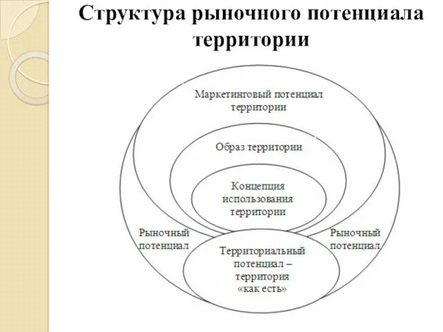 Структура рыночного потенциала территории