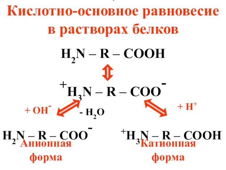 Кислотно-основное равновесие в растворах белков H2N – R – COOH
