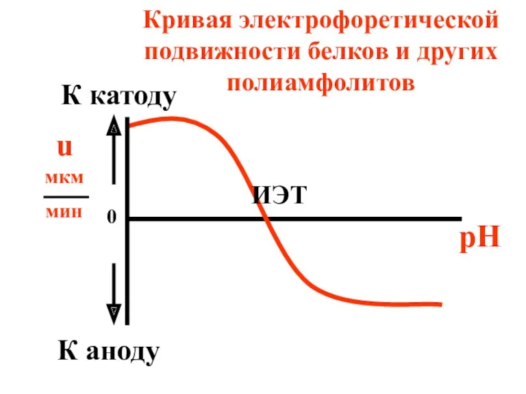 Кривая электрофоретической подвижности белков и других полиамфолитов u мкм мин