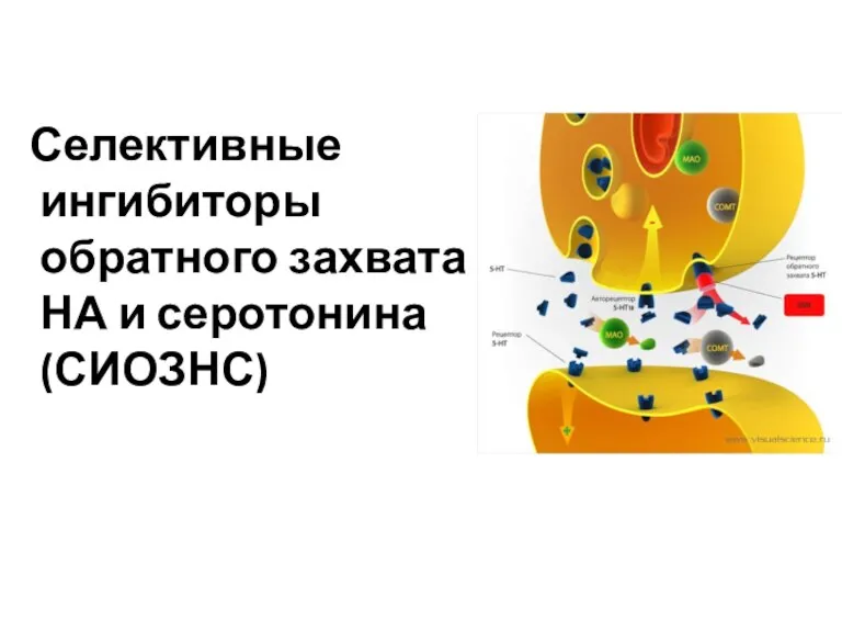 Селективные ингибиторы обратного захвата НА и серотонина (СИОЗНС)