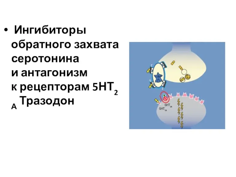 Ингибиторы обратного захвата серотонина и антагонизм к рецепторам 5НТ2А Тразодон