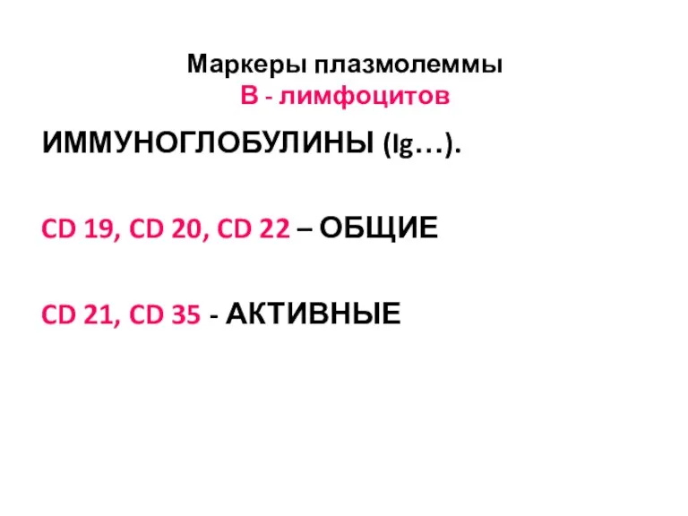 Маркеры плазмолеммы В - лимфоцитов ИММУНОГЛОБУЛИНЫ (Ig…). CD 19, CD