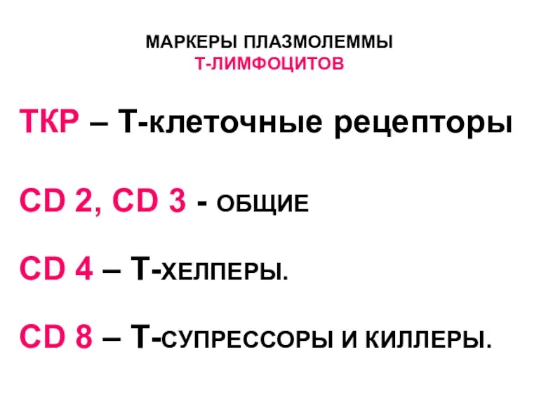 МАРКЕРЫ ПЛАЗМОЛЕММЫ Т-ЛИМФОЦИТОВ ТКР – Т-клеточные рецепторы CD 2, CD