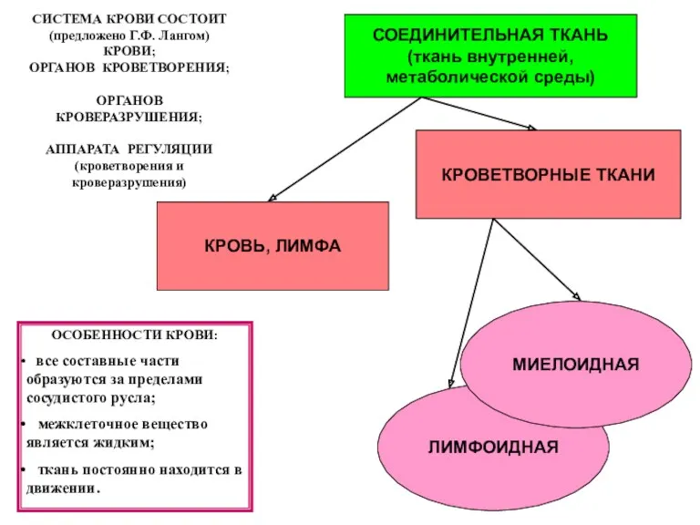 СОЕДИНИТЕЛЬНАЯ ТКАНЬ (ткань внутренней, метаболической среды) КРОВЬ, ЛИМФА КРОВЕТВОРНЫЕ ТКАНИ