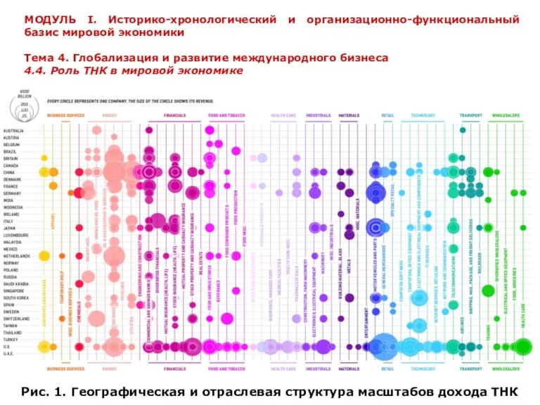 Рис. 1. Географическая и отраслевая структура масштабов дохода ТНК МОДУЛЬ