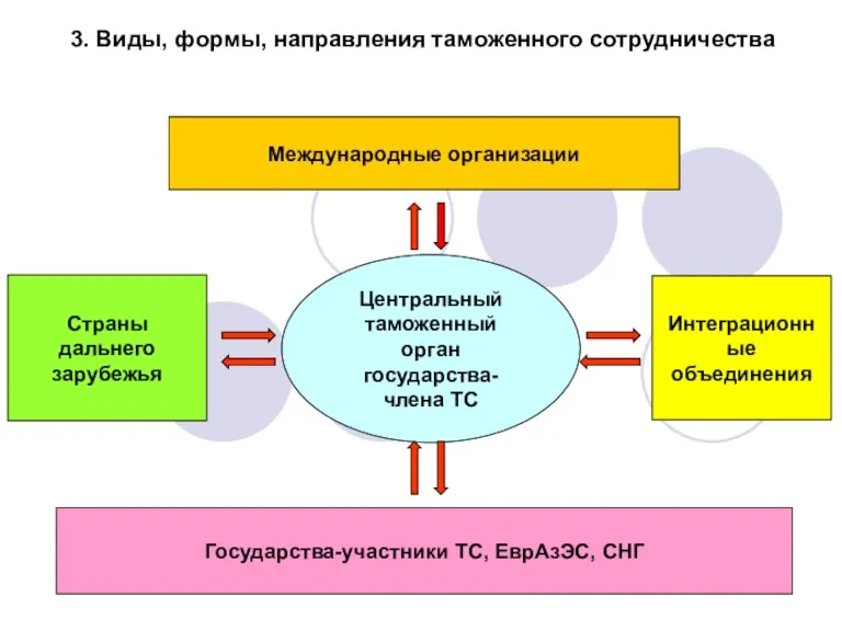 3. Виды, формы, направления таможенного сотрудничества Центральный таможенный орган государства-члена