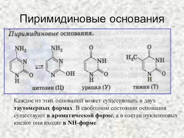 Пиримидиновые основания Каждое из этих оснований может существовать в двух