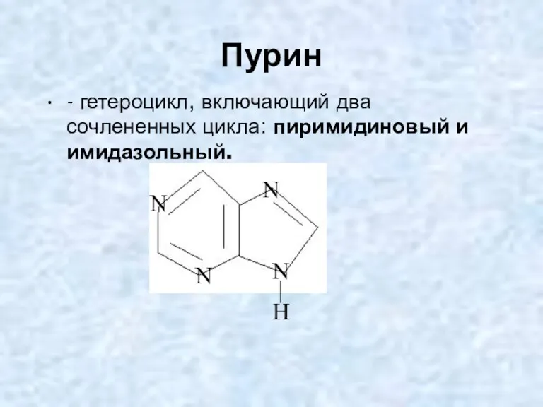 Пурин - гетероцикл, включающий два сочлененных цикла: пиримидиновый и имидазольный. N H N N N