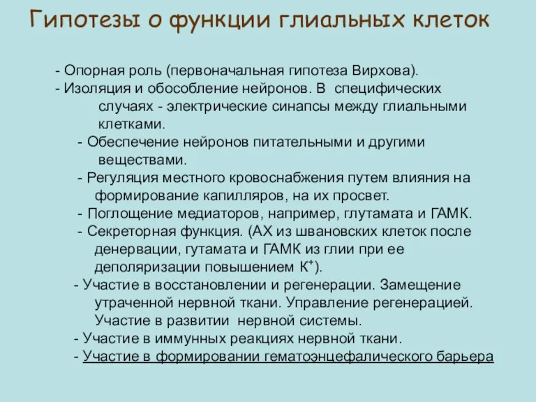 Гипотезы о функции глиальных клеток - Опорная роль (первоначальная гипотеза