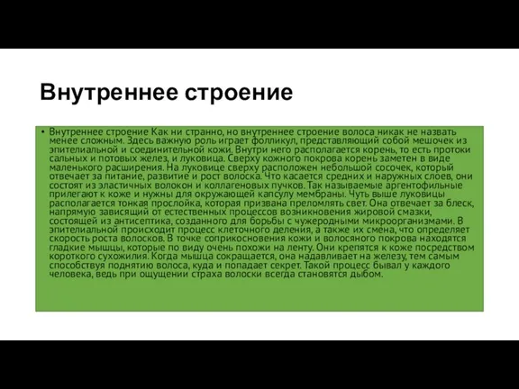 Внутреннее строение Внутреннее строение Как ни странно, но внутреннее строение