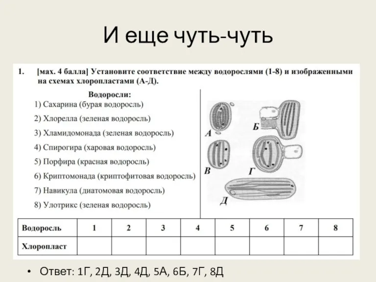 И еще чуть-чуть Ответ: 1Г, 2Д, 3Д, 4Д, 5А, 6Б, 7Г, 8Д