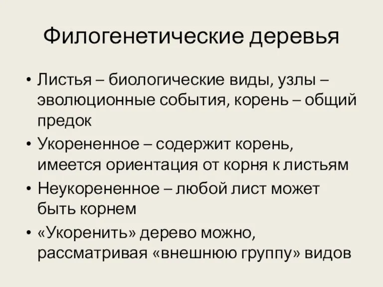 Филогенетические деревья Листья – биологические виды, узлы – эволюционные события,