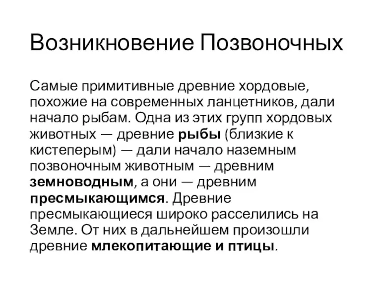 Возникновение Позвоночных Самые примитивные древние хордовые, похожие на современных ланцетников,