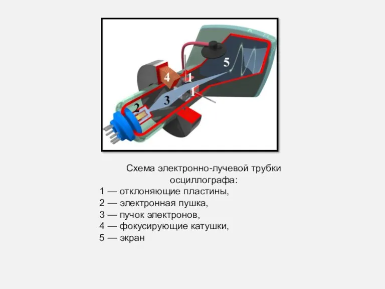 Схема электронно-лучевой трубки осциллографа: 1 — отклоняющие пластины, 2 — электронная пушка, 3