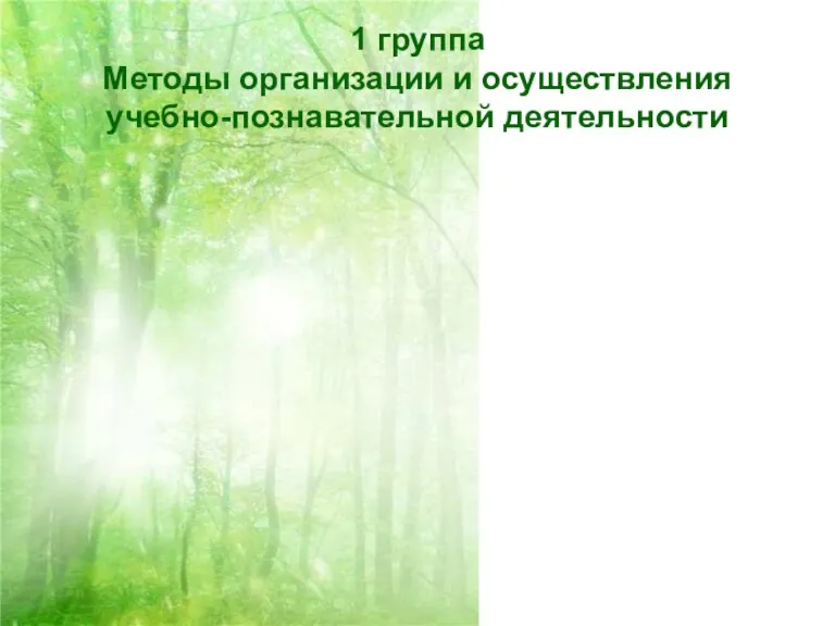 1 группа Методы организации и осуществления учебно-познавательной деятельности