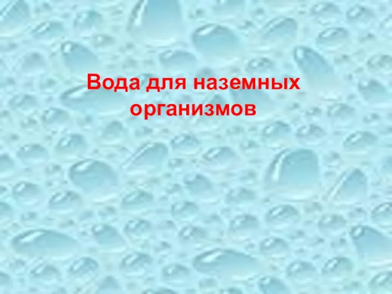 Вода для наземных организмов