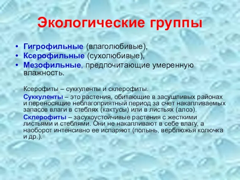 Экологические группы Гигрофильные (влаголюбивые), Ксерофильные (сухолюбивые), Мезофильные, предпочитающие умеренную влажность.