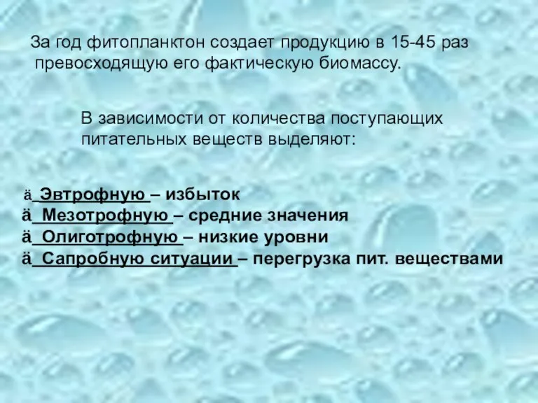 За год фитопланктон создает продукцию в 15-45 раз превосходящую его