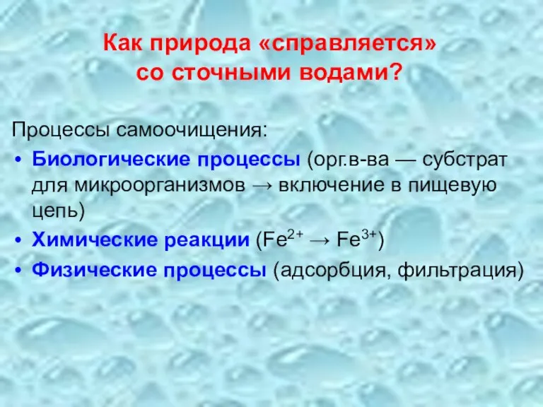 Как природа «справляется» со сточными водами? Процессы самоочищения: Биологические процессы