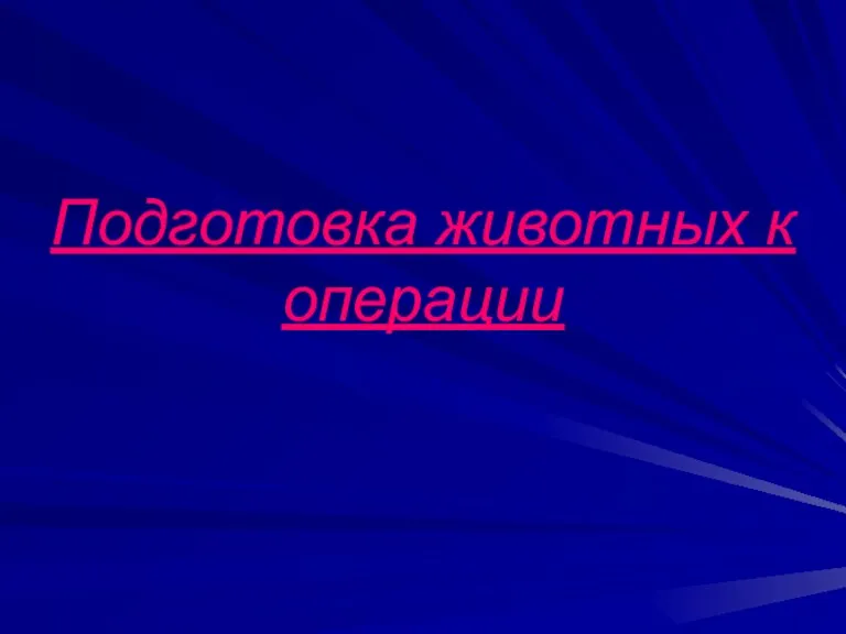 Подготовка животных к операции