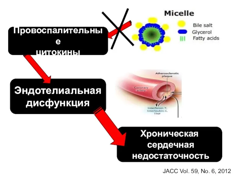 Хроническая сердечная недостаточность Эндотелиальная дисфункция Провоспалительные цитокины Провоспалительные цитокины JACC Vol. 59, No. 6, 2012