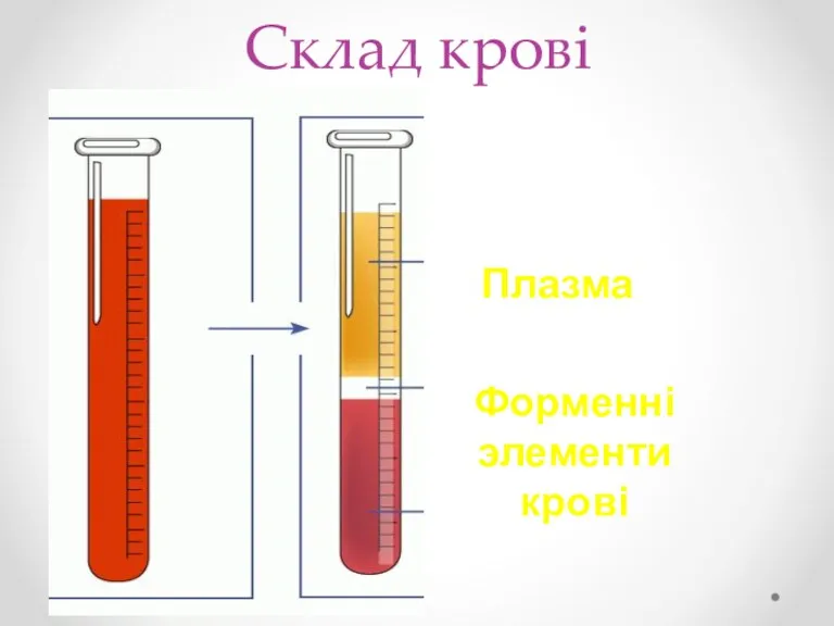 Склад крові Плазма Форменні элементи крові