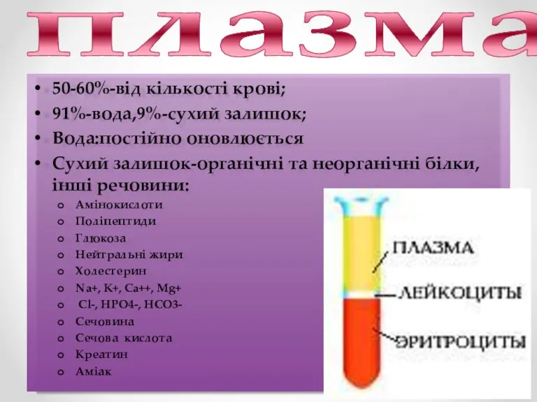 плазма 50-60%-від кількості крові; 91%-вода,9%-сухий залишок; Вода:постійно оновлюється Сухий залишок-органічні