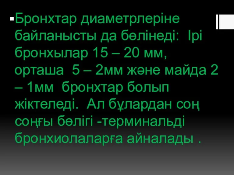 Бронхтар диаметрлеріне байланысты да бөлінеді: Ірі бронхылар 15 – 20