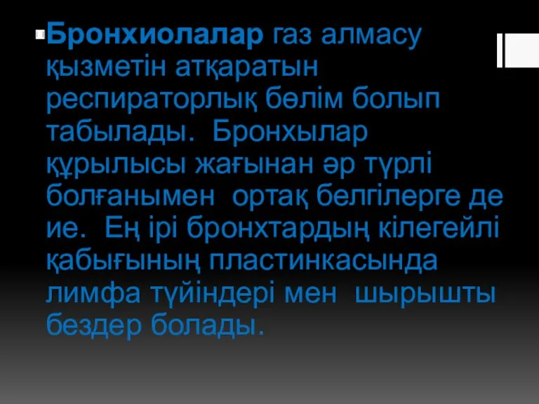 Бронхиолалар газ алмасу қызметін атқаратын респираторлық бөлім болып табылады. Бронхылар