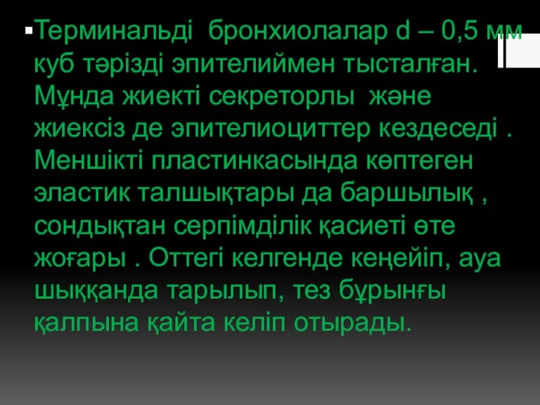 Терминальді бронхиолалар d – 0,5 мм куб тәрізді эпителиймен тысталған.