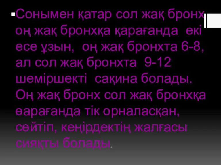 Сонымен қатар сол жақ бронх оң жақ бронхқа қарағанда екі