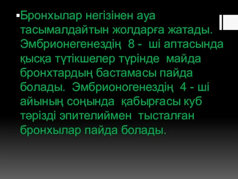 Бронхылар негізінен ауа тасымалдайтын жолдарға жатады. Эмбрионегенездің 8 - ші