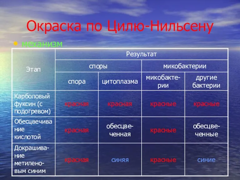 Окраска по Цилю-Нильсену механизм