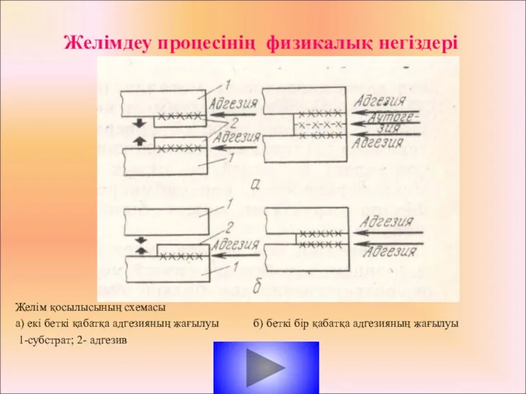 Желім қосылысының схемасы а) екі беткі қабатқа адгезияның жағылуы б)