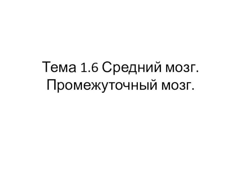 Тема 1.6 Средний мозг. Промежуточный мозг.